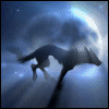 silver_shadow